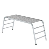 Rettungs- und Arbeitsplattform MUNK